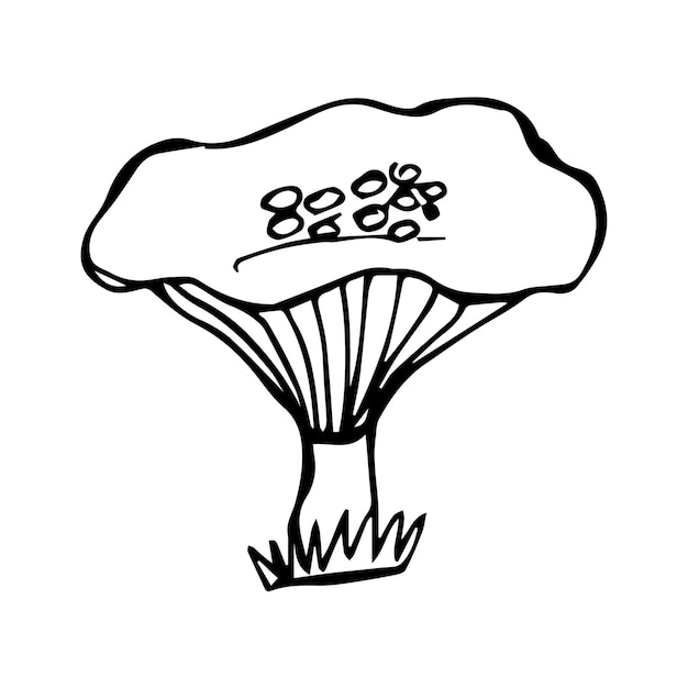 Hand drawn mushroom black and white vector