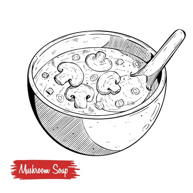 Hand drawn of mushroom cream soup in a white ceramic bowl and cut mushroom