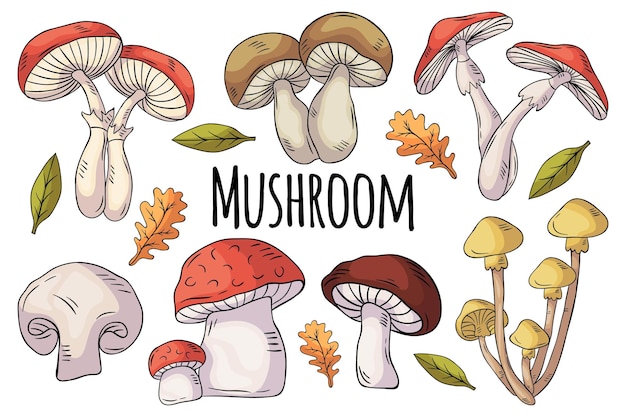 Hand drawn mushroom doodle set vector