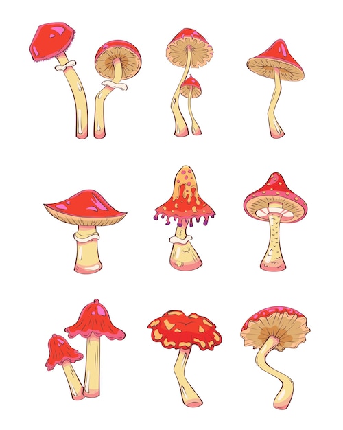 Hand drawn mushrooms Vector illustration collection of colorful raw fungus isolated on white background Fantasy toxic mushrooms