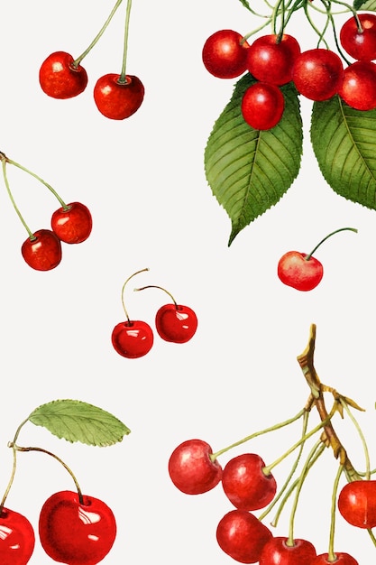 Hand drawn natural fresh red cherry patterned background vector