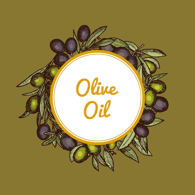 hand drawn olive branches under circle with place for text