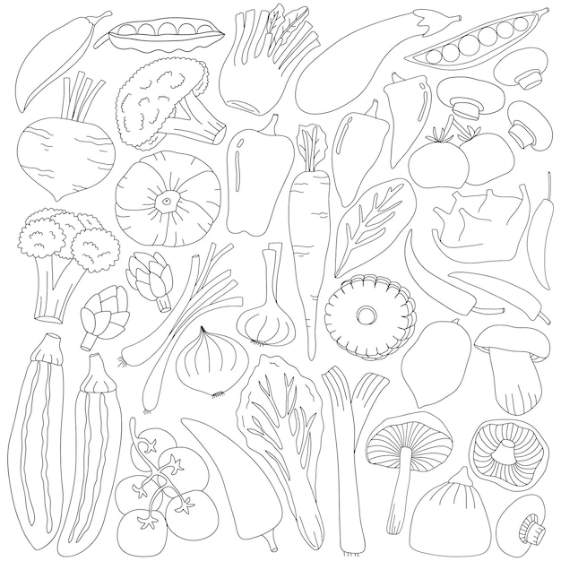 Hand drawn organic vegetable food set in doodle art style on white background