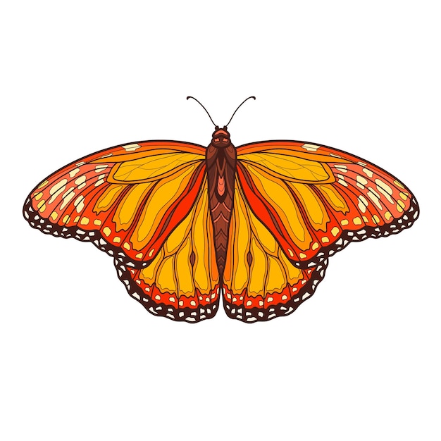 Hand drawn ornamental butterfly outline illustration with decorative ornaments