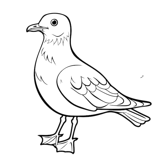 hand drawn outline illustration vector of seagull bird for children coloring book