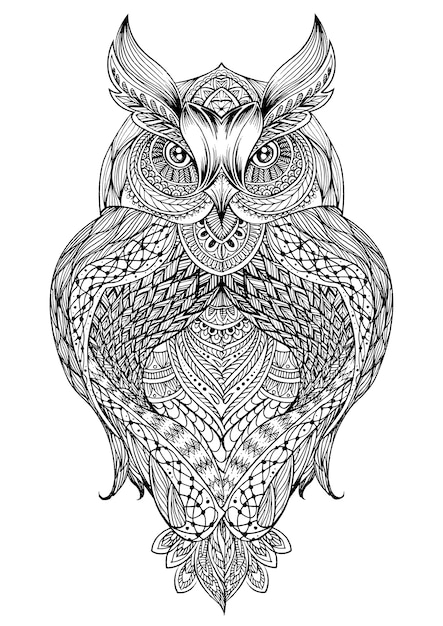 Hand drawn owl background