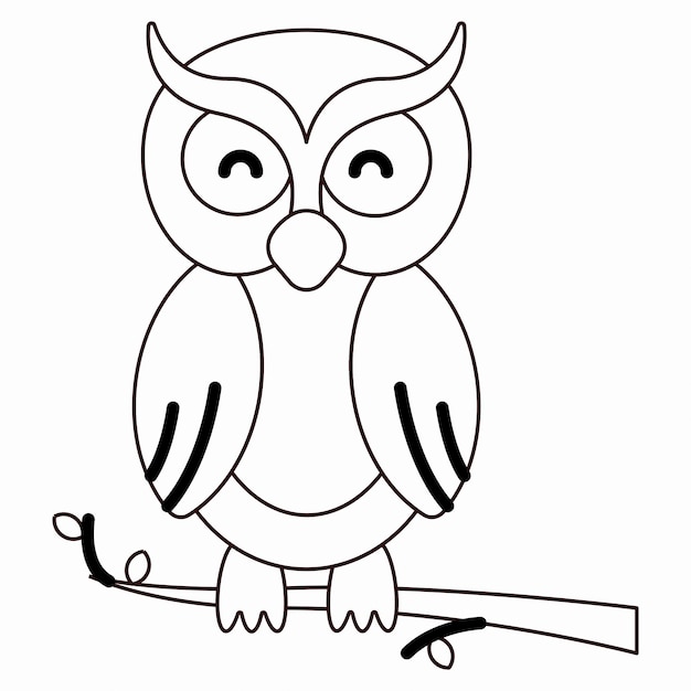 Hand drawn owl in doodle style sketch. line art and color. kids education