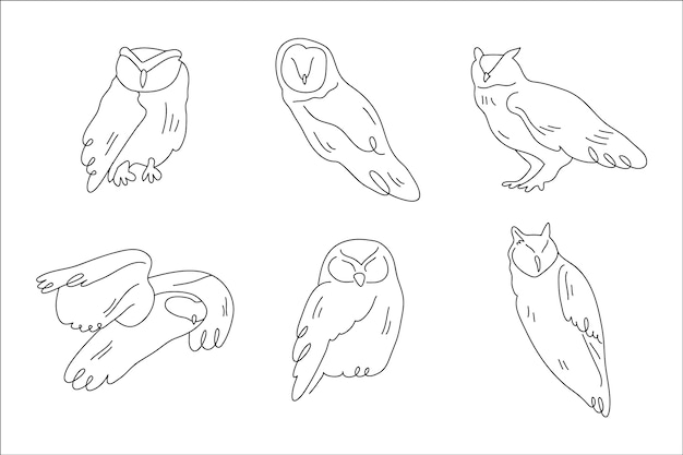 Hand drawn owl outline illustration