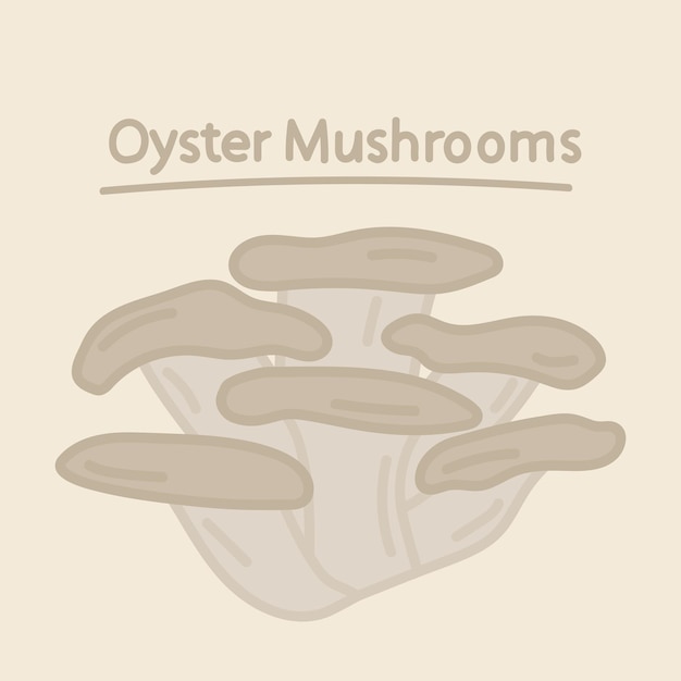 Hand drawn oyster mushrooms. Cartoon design food element. Mushrooms set. Organic food.