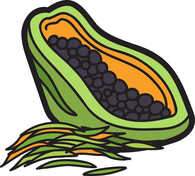 Hand Drawn papaya illustration