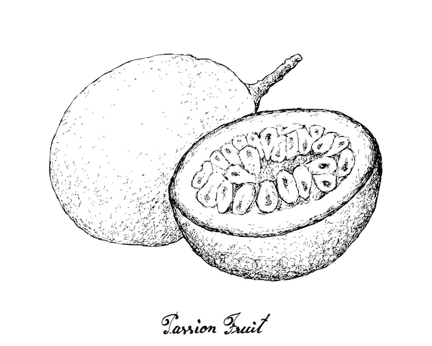 Hand Drawn of Passion Fruit