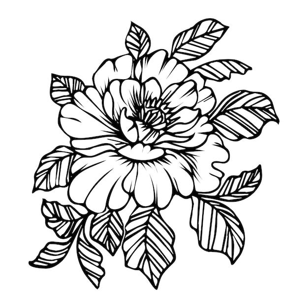 Hand-drawn peony flower, line art. Floral sketch, illustration, vector