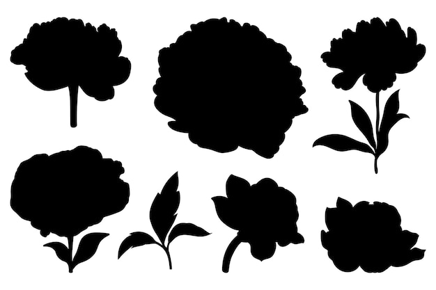 Hand drawn peony flower silhouettes buds steams and leaves collection