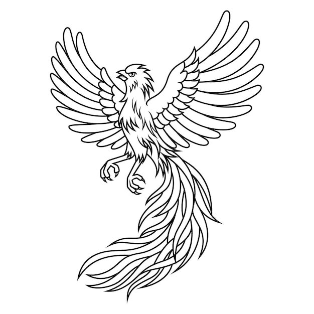 Hand drawn of phoenix line art