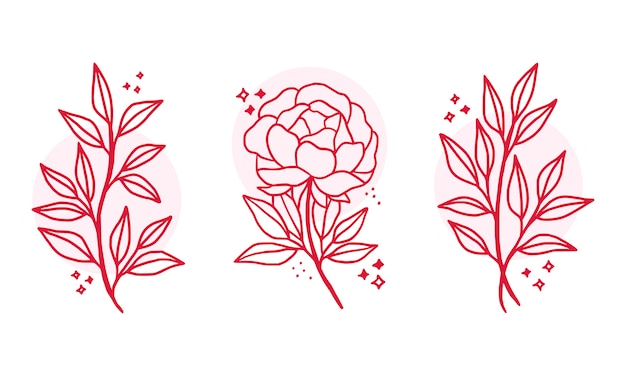 Hand drawn pink botanical flower logo elements