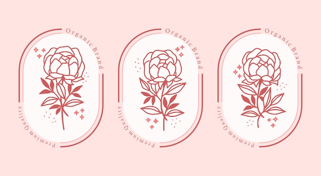 Hand drawn pink botanical peony flower element for feminine beauty logo