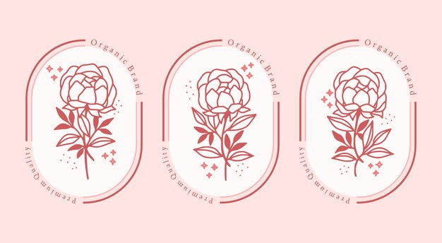 Vector hand drawn pink botanical peony flower element for feminine beauty logo