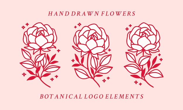 Vector hand drawn pink botanical peony flower logo element collection