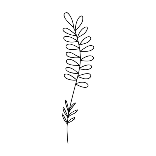 Hand drawn plant element twig grass