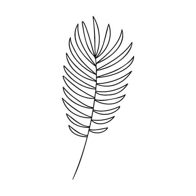 Hand drawn plant element twig grass