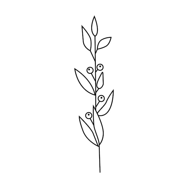 Hand drawn plant illustration