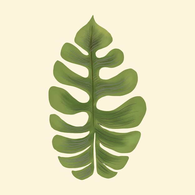 Hand drawn plant leaf isolated