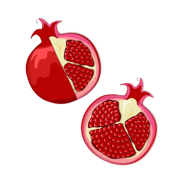 Hand drawn pomegranate in flat design