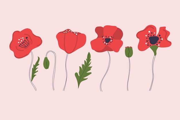 Hand drawn poppy flowers Modern flat isolated illustration