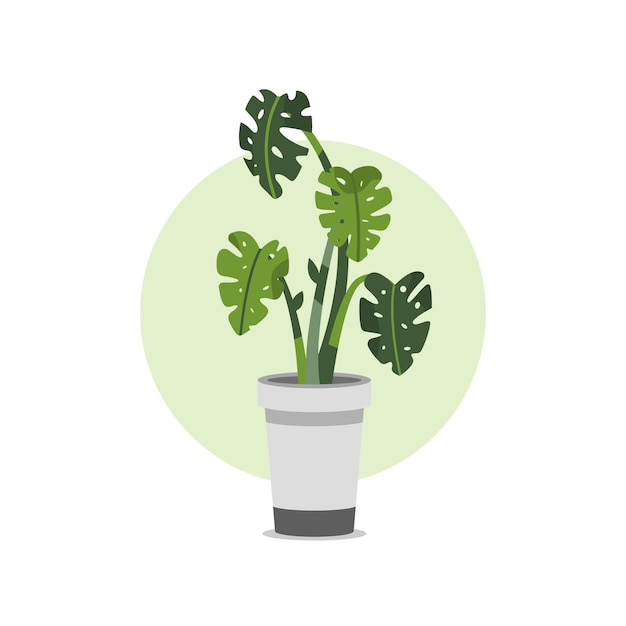 Hand Drawn Potted Houseplant in Flat Illustration