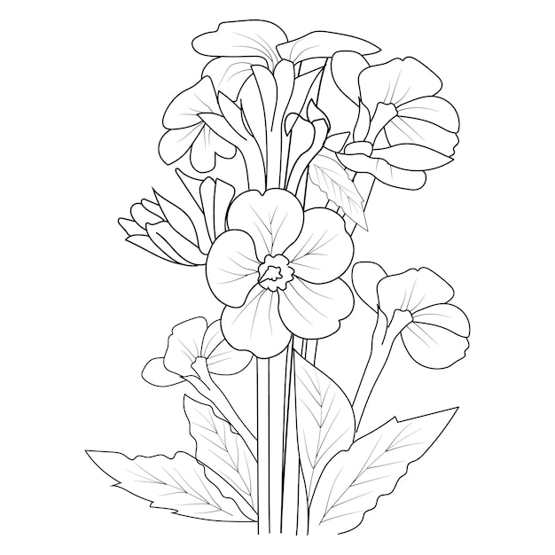 hand drawn prime rose flower vector illustration