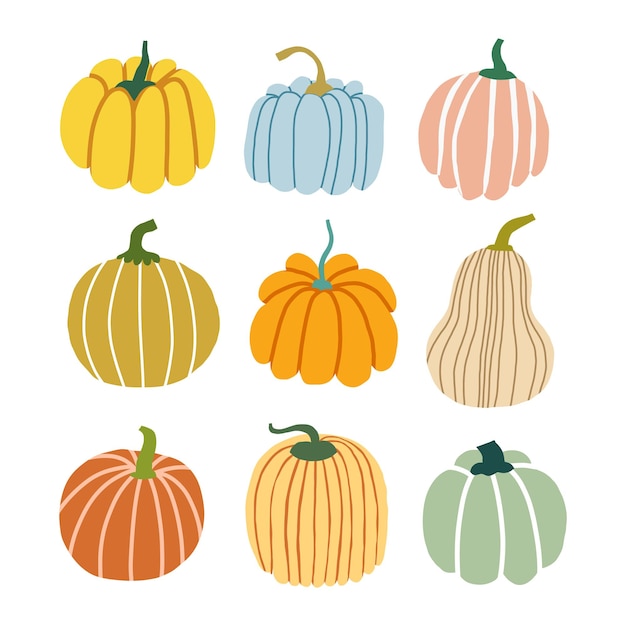 Hand drawn pumpkin illustration set