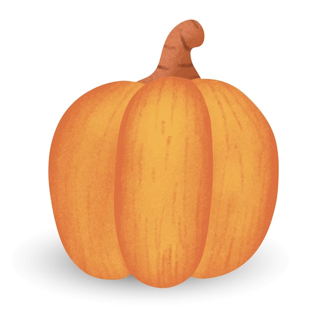 Hand drawn pumpkin Vector illustration