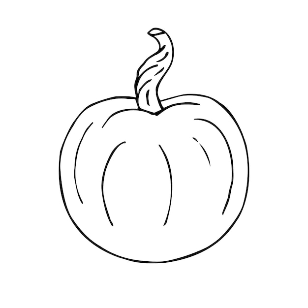 Hand drawn pumpkin