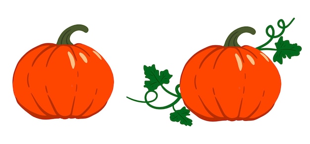 Hand drawn pumpkin