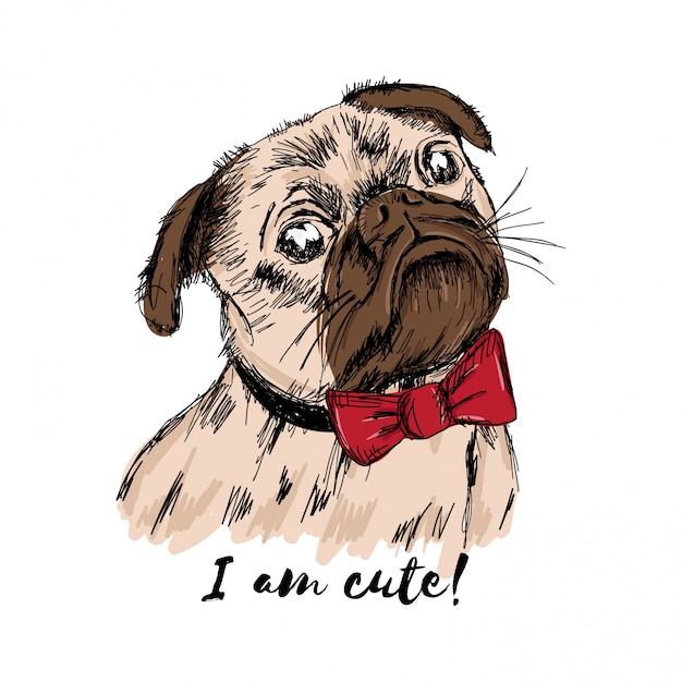  hand drawn puppy Pug with a red bow