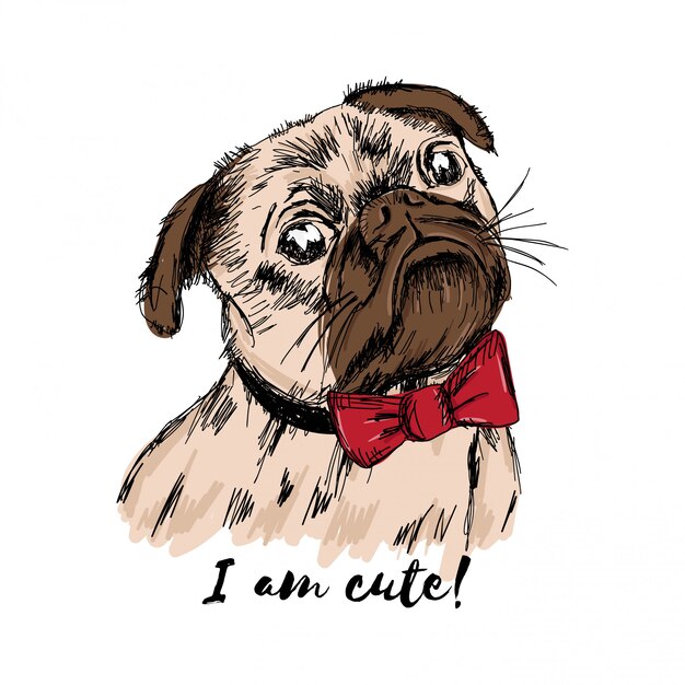 Vector  hand drawn puppy pug with a red bow