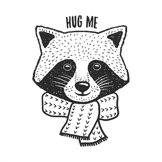 Hand drawn raccoon print. Hug me quote. Vector vintage illustration.