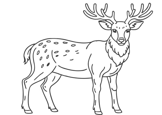 Vector hand drawn reindeer outline illustration