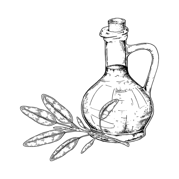 Hand drawn sage oil with branch. Vector illustration in sketch style