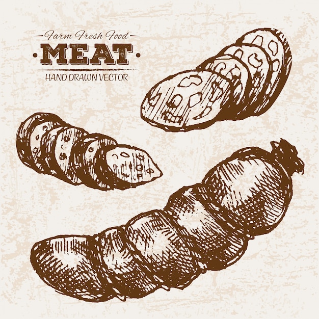 Hand drawn sausages and salami