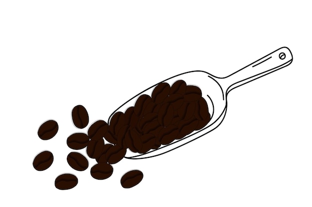 Hand drawn scoop with coffee beans