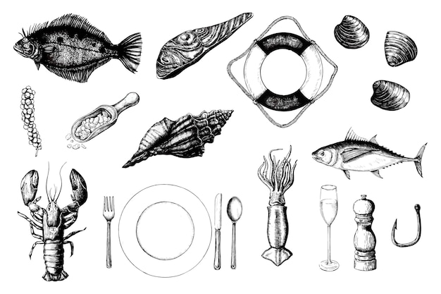 Hand drawn of seafood concept