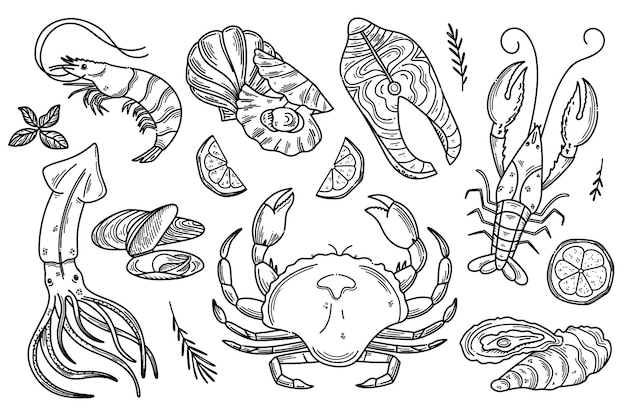 Hand drawn Seafood set Decorative doodle illustration of squid salmon scallops lobster crab