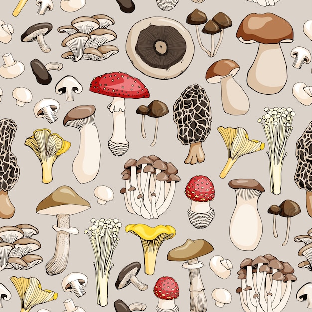 Hand drawn seamless pattern of mushroom and toadstools