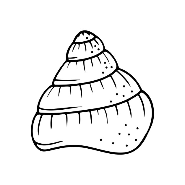 Hand drawn seashell isolated on a white background