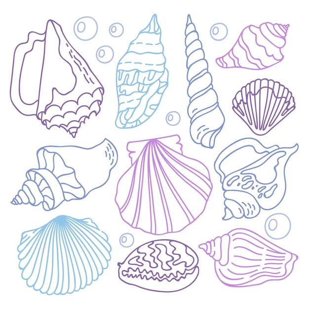 Hand drawn seashell outline illustration