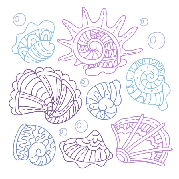 Hand drawn seashell outline illustration