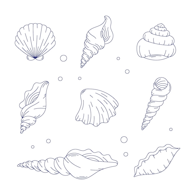 Hand drawn seashell outline illustration