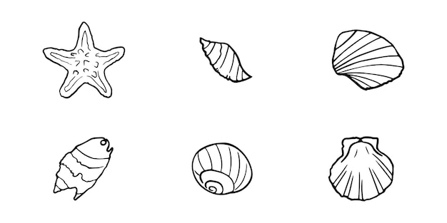 Hand drawn seashells set Various sea shells types for using in nautical and marine themed designs