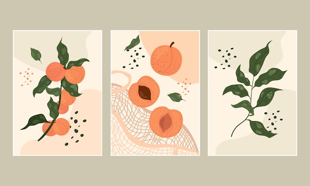 Hand drawn set abstract boho poster with apricot